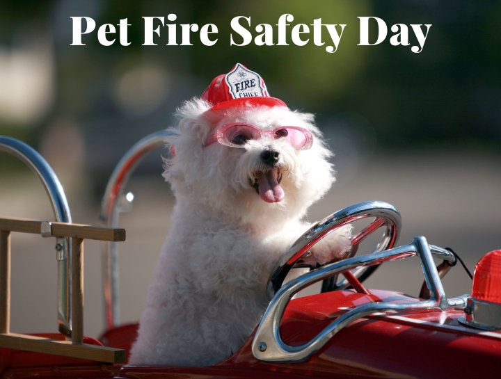 Pet Fire Safety Day Lucerne Veterinary Hospital